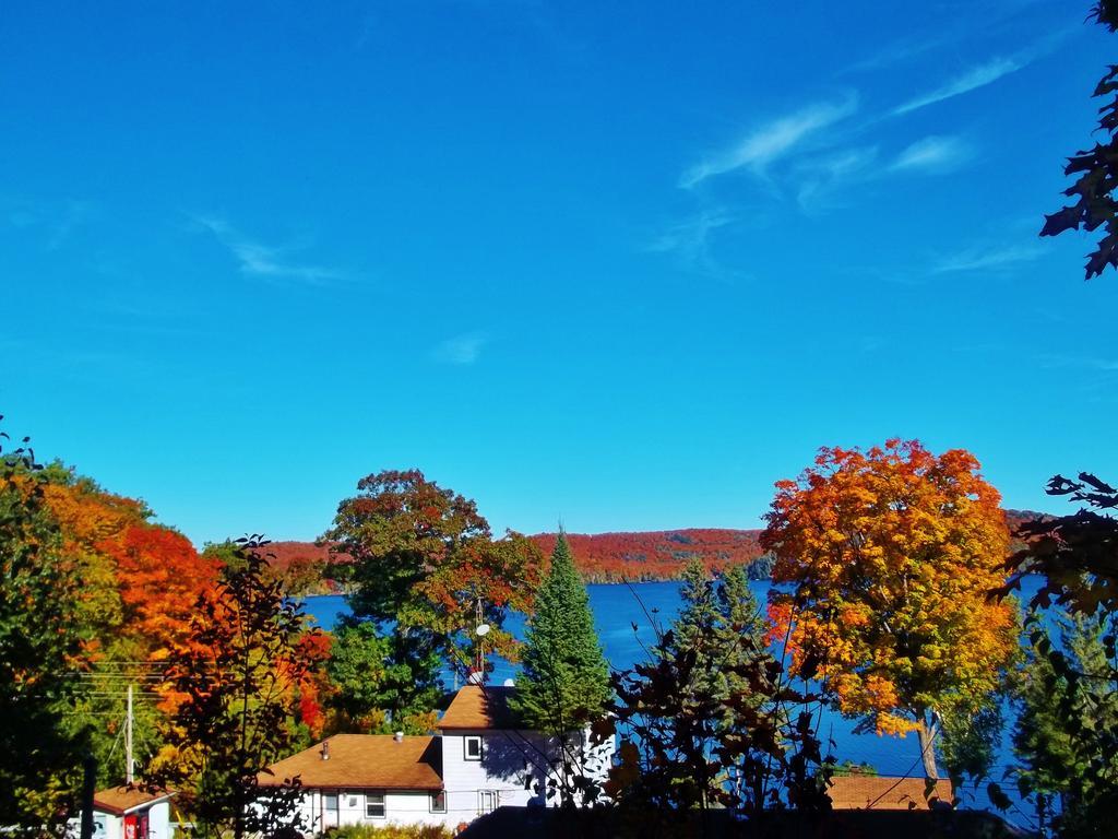 Silver Springs Cottage Resort Harcourt Экстерьер фото