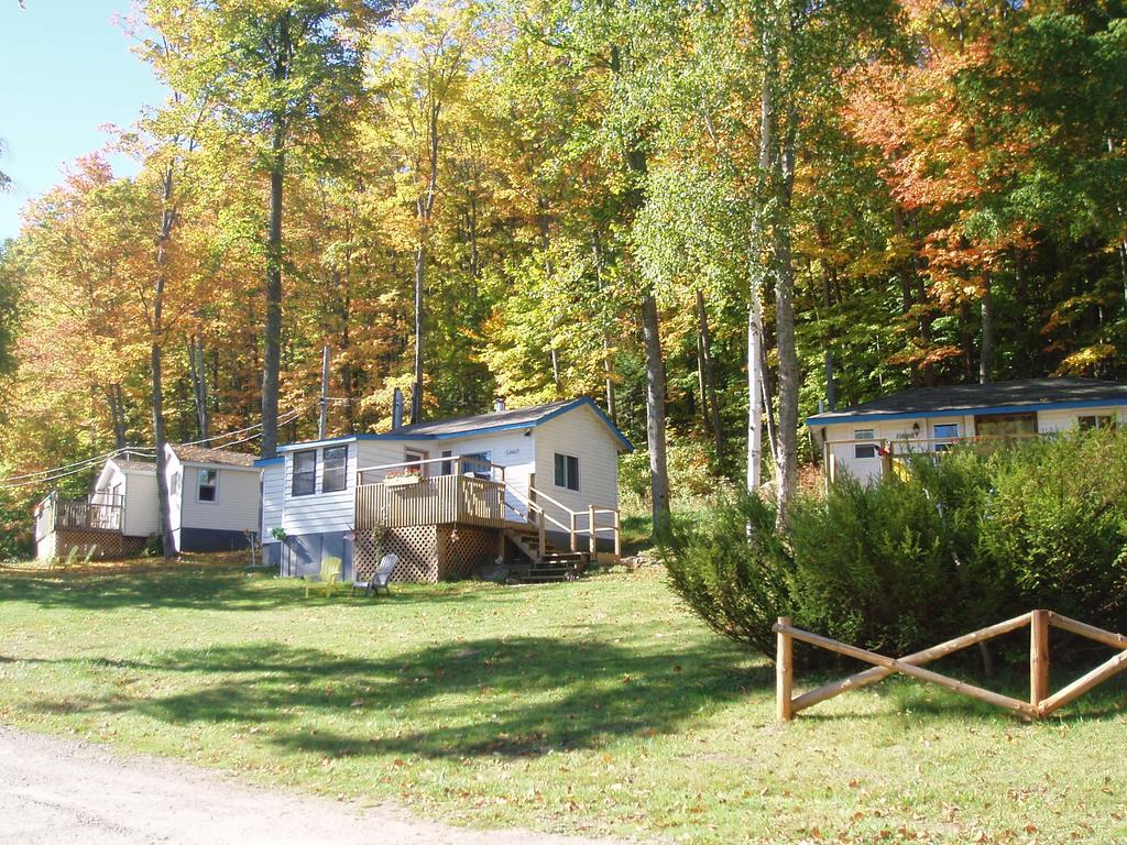 Silver Springs Cottage Resort Harcourt Экстерьер фото