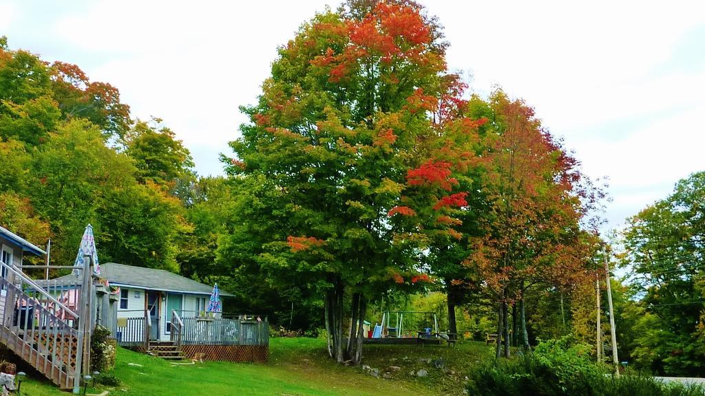 Silver Springs Cottage Resort Harcourt Экстерьер фото